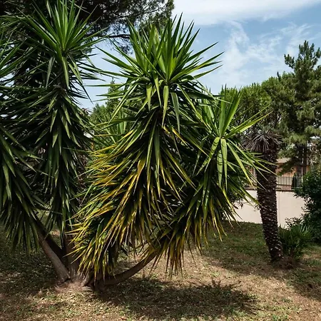 Vatican Quiet With Garden & Parking